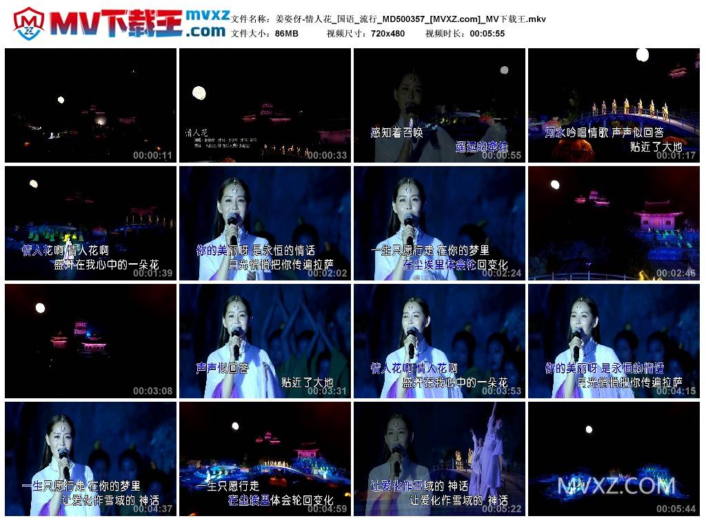 姜姿伢-情人花_国语_流行_MD500357